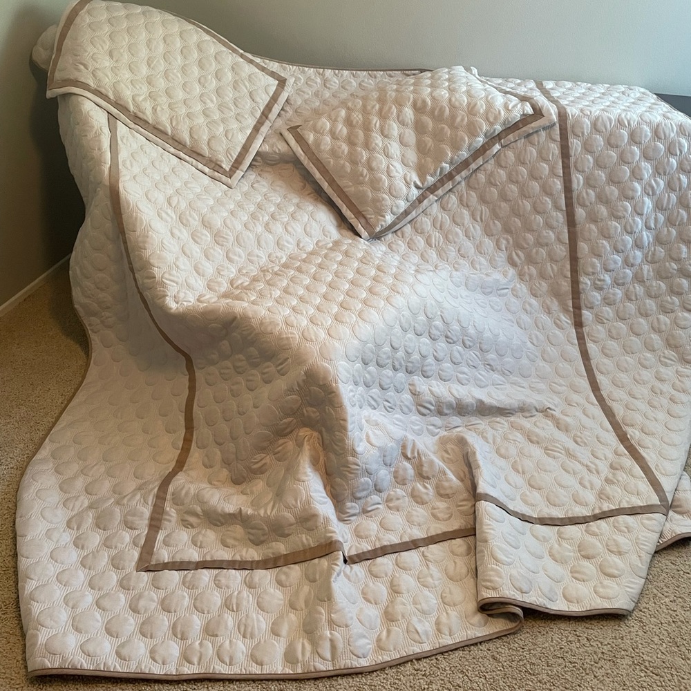 Queen 90”x90” bed spread with 2 shams. Only used as a guest bed decor amazing!